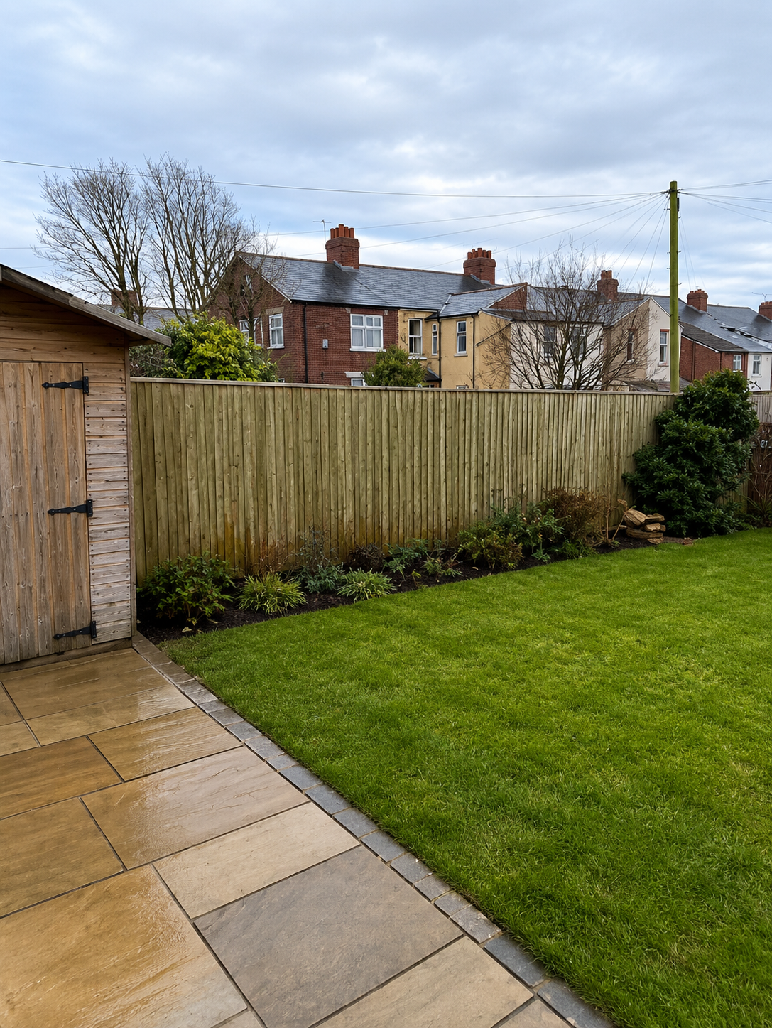Garden after tree removal