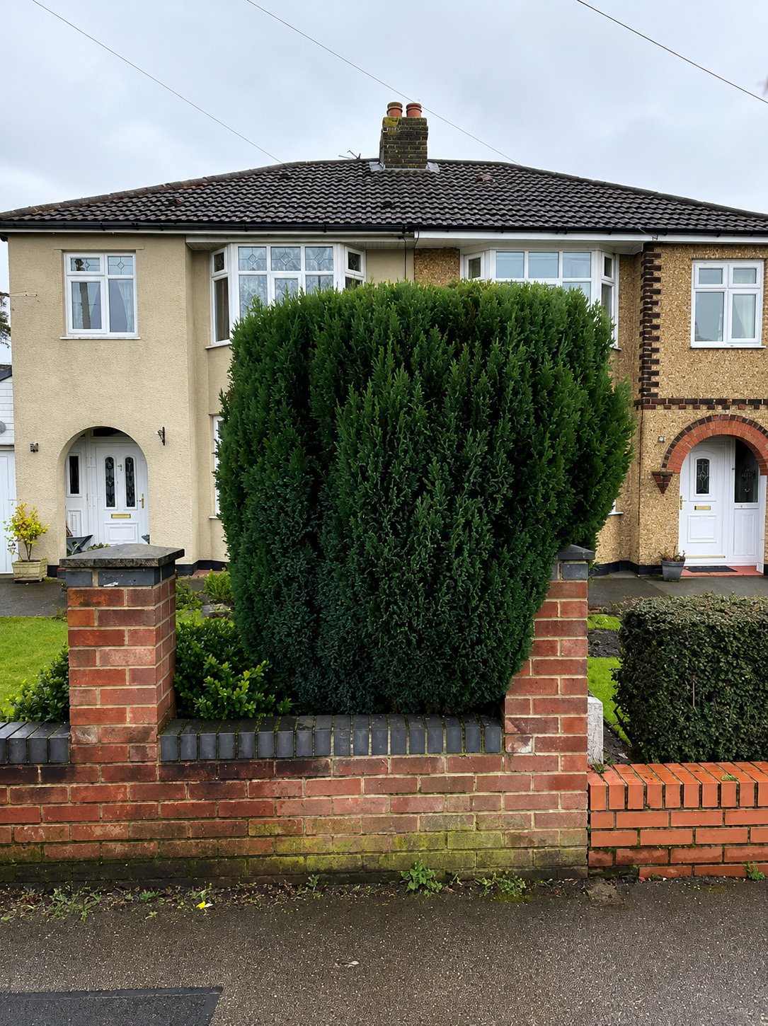 Hedge after pruning in Limerick